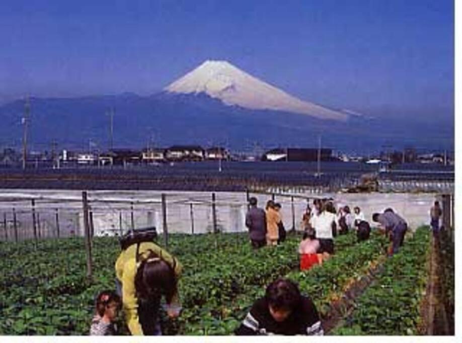 ゲストハウス+カフェわ　１日１組限定！ 築１００年の農家の古民家で宿泊体験、薪でお風呂沸かせます。焚き火もできます。 Kannami Eksteriør billede
